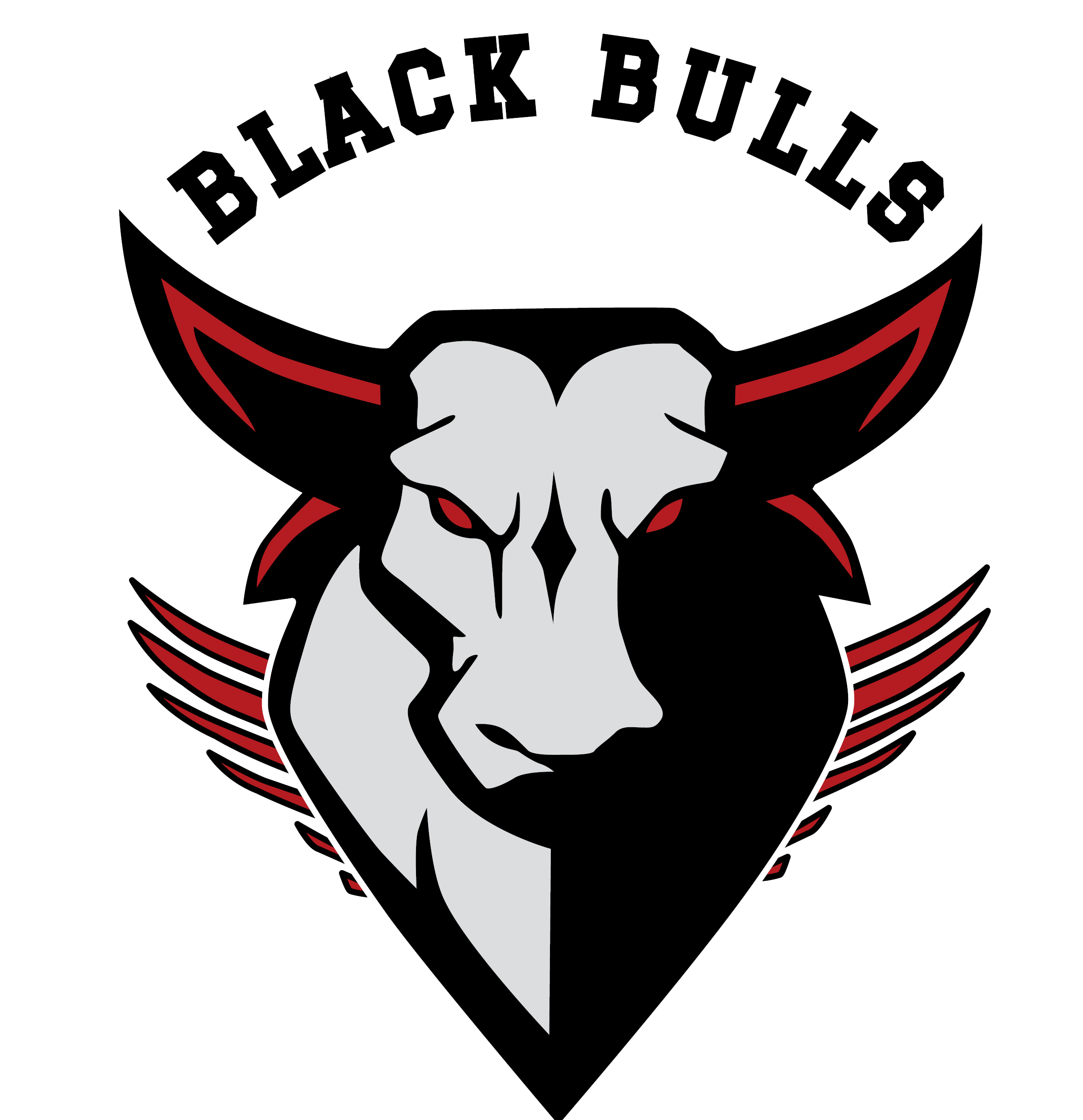 BLACK BULLS